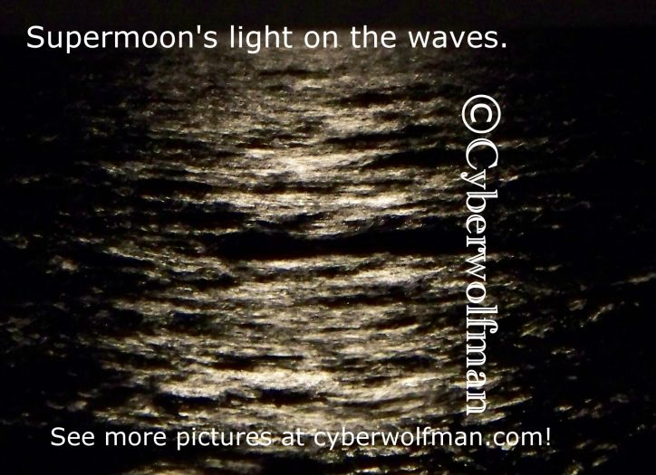 Supermoon waves